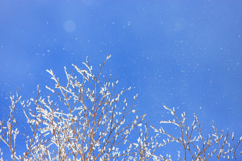 d0069235_121324.gif