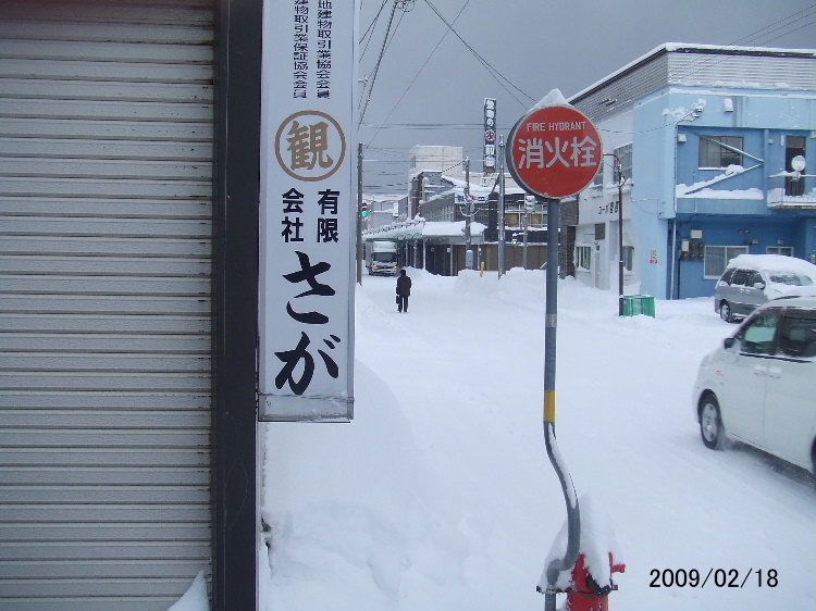 b0012636_1182936.jpg