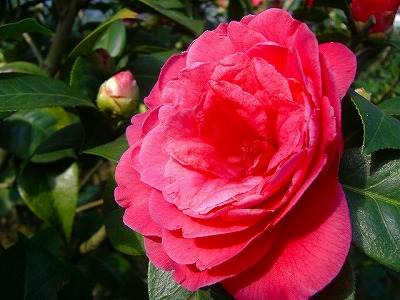 c0056437_1484553.jpg