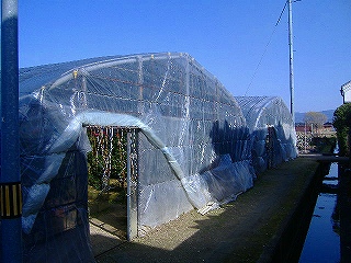 c0056437_2221383.jpg