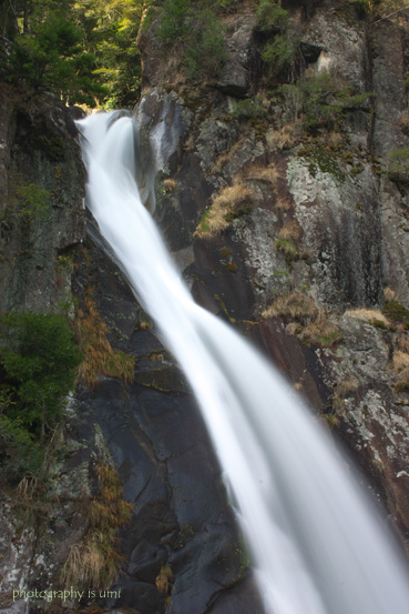 e0083238_219341.jpg