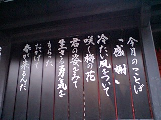e0067640_1655770.jpg
