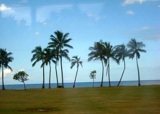 f0154940_6545582.jpg