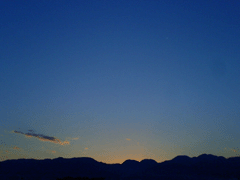 e0005548_22522050.gif