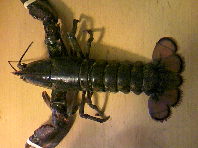 f0083649_12422377.jpg