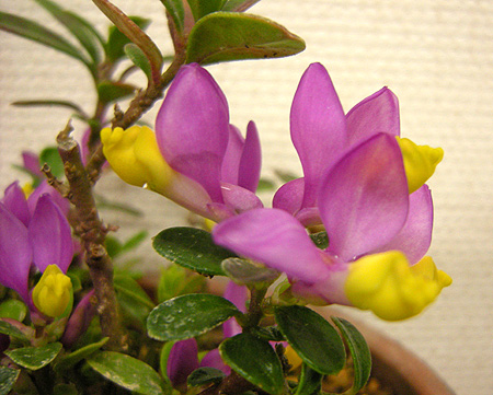 a0001354_2195557.jpg