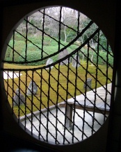 f0195963_17485422.jpg