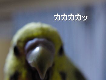 f0196665_0213396.jpg