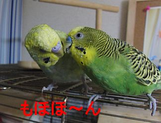 f0196665_044820.jpg