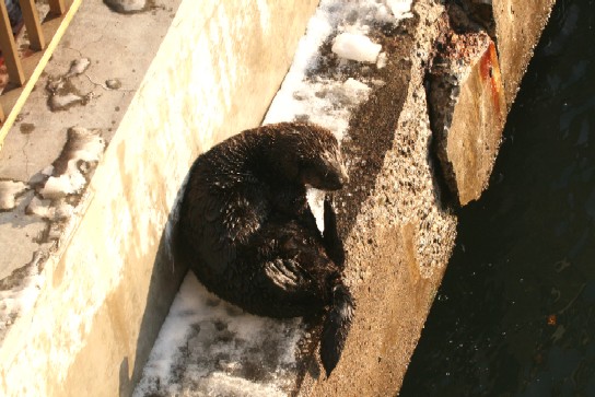 f0000866_1192678.jpg