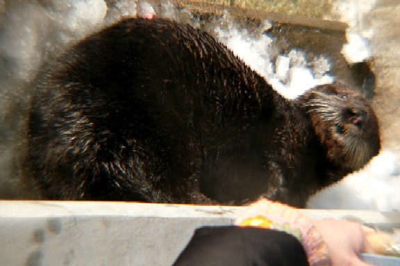 f0000866_1195491.jpg