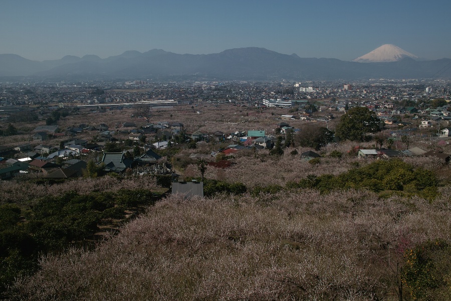 b0084270_035979.jpg