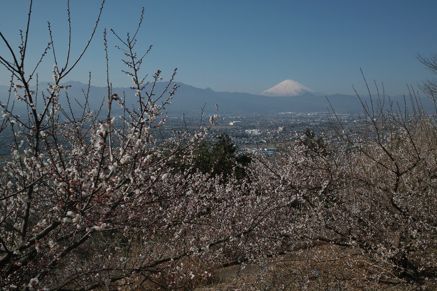 b0084270_0383174.jpg