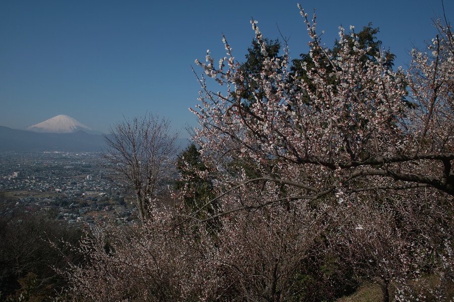 b0084270_038396.jpg