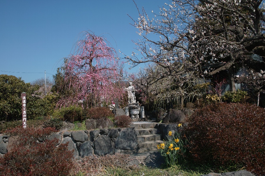 b0084270_21142378.jpg