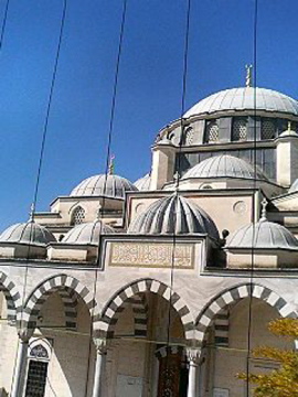 f0054677_932952.jpg