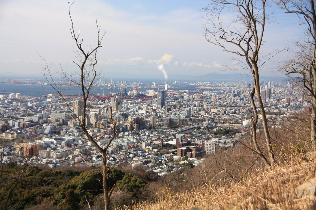 e0024081_183252.jpg