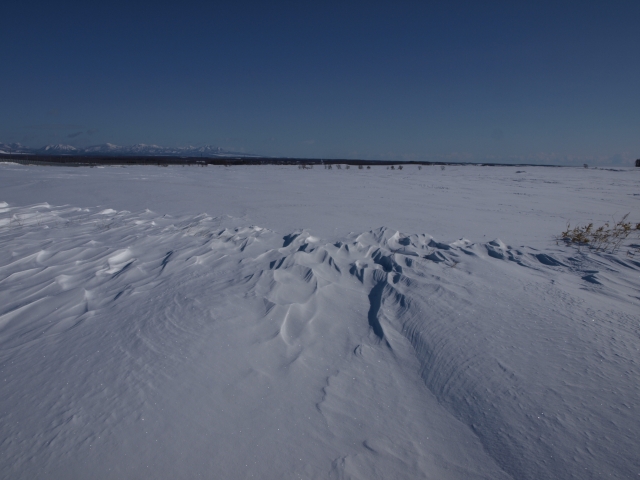 f0020302_20451767.jpg