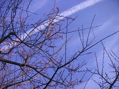 f0146802_17174365.jpg