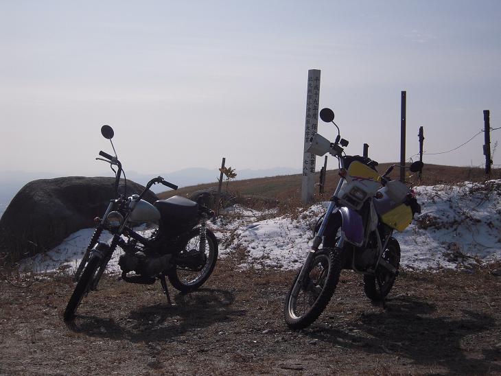 f0061705_2011578.jpg