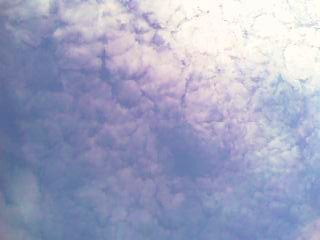 d0135907_041321.jpg