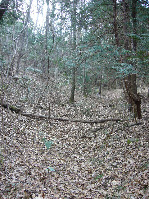 e0015108_1115264.jpg