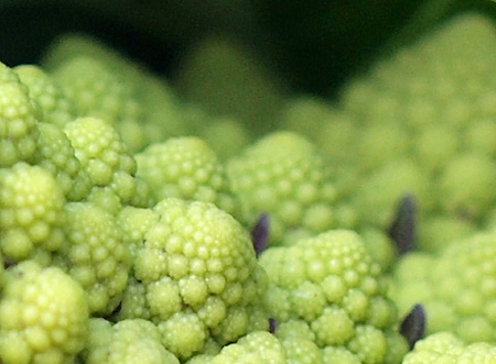 f0135908_0353366.jpg