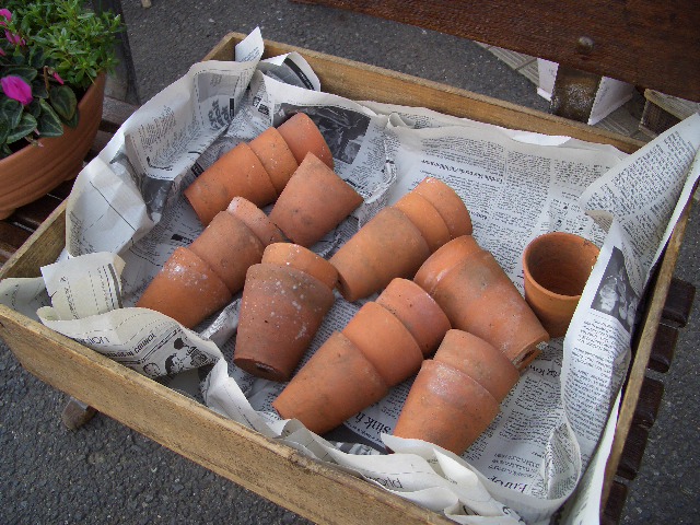 e0128909_2144747.jpg