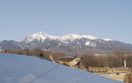 e0078510_22393451.jpg
