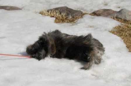 e0078510_2240827.jpg