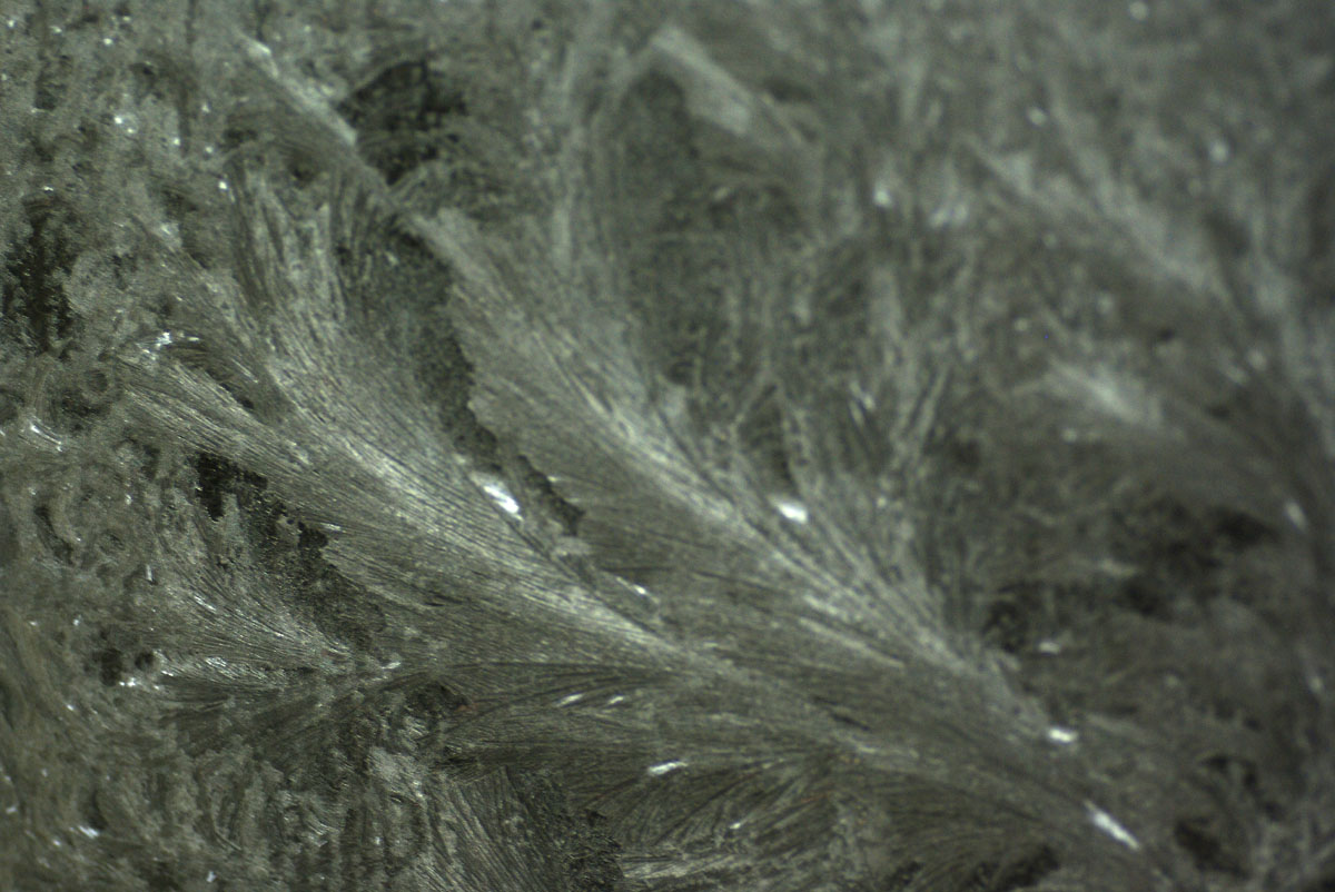 e0142611_2072995.jpg