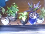 c0046316_2311303.jpg
