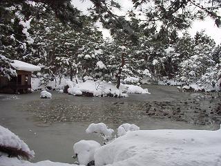 e0135219_10235839.jpg