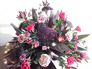 a0052621_2330286.jpg