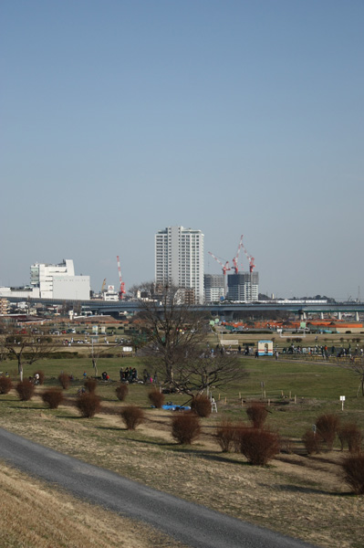 f0078132_054129.jpg