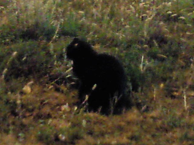 e0128637_939386.jpg
