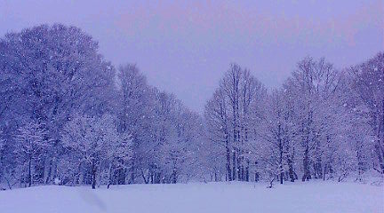 e0171737_162485.jpg