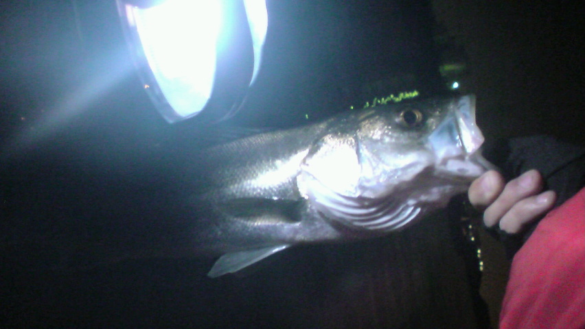 a0116640_13261711.jpg