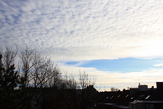c0153740_542204.jpg