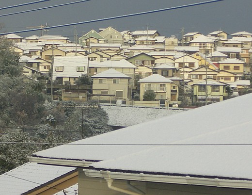 b0016043_12505570.jpg