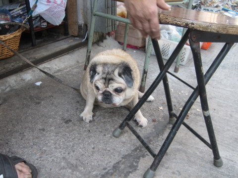 e0018143_19105652.jpg
