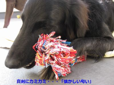 b0148945_054466.jpg