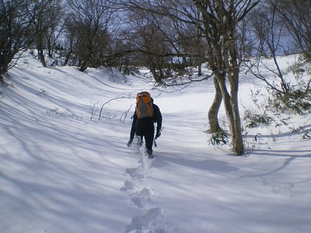 c0042847_2103715.jpg