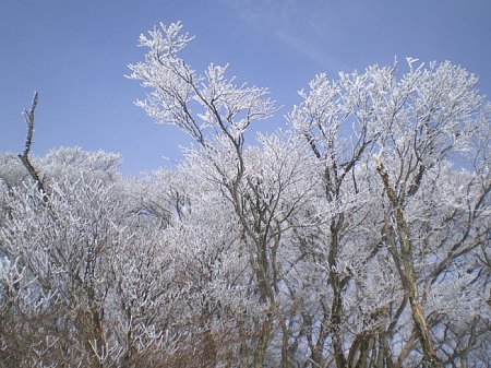 c0042847_211365.jpg