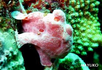 e0027447_0375953.jpg