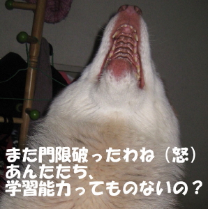 e0121548_22305773.jpg