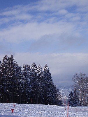 a0094058_17154914.jpg