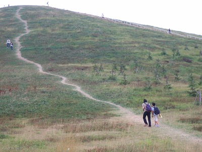 c0131478_1273431.jpg