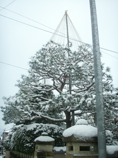 c0157378_20143450.jpg