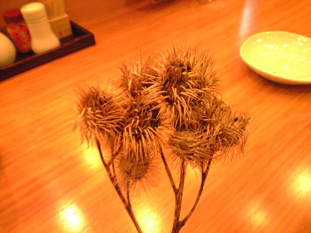 f0051283_6362373.jpg